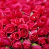 bunch of Roses